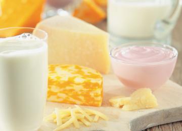 Dairy Products